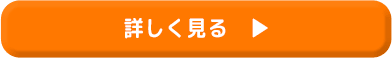 詳しく見るボタン